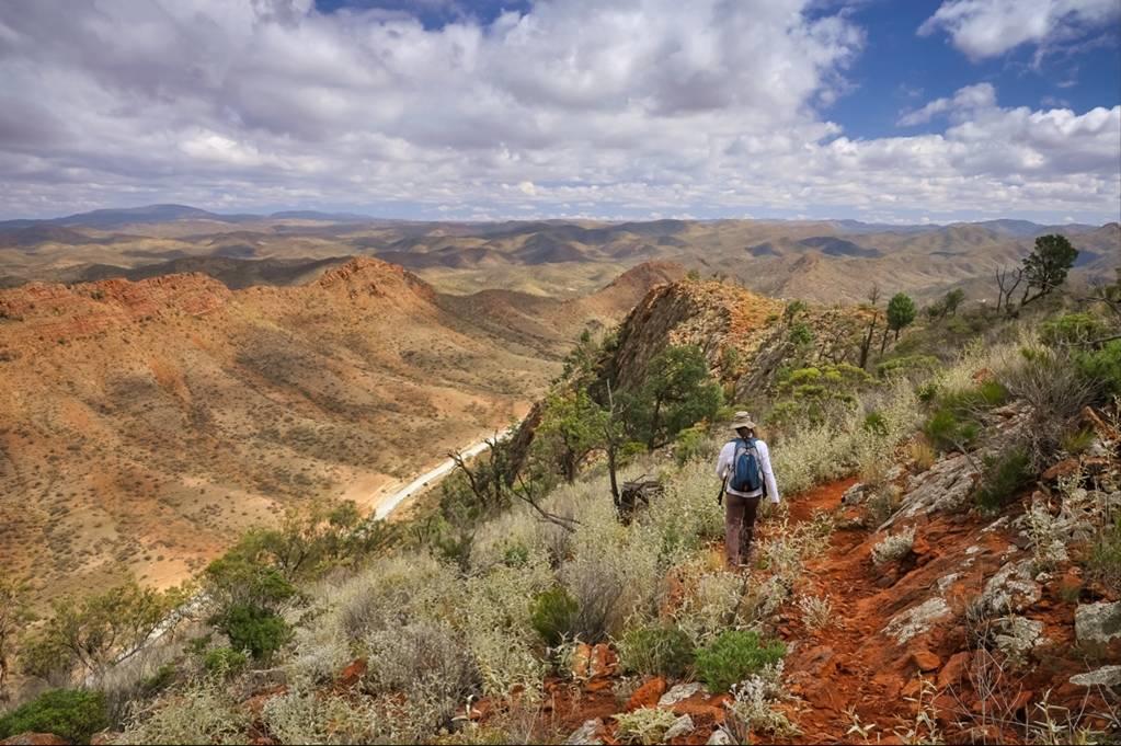Arkaroola Wilderness Sanctuary Hotell Exteriör bild